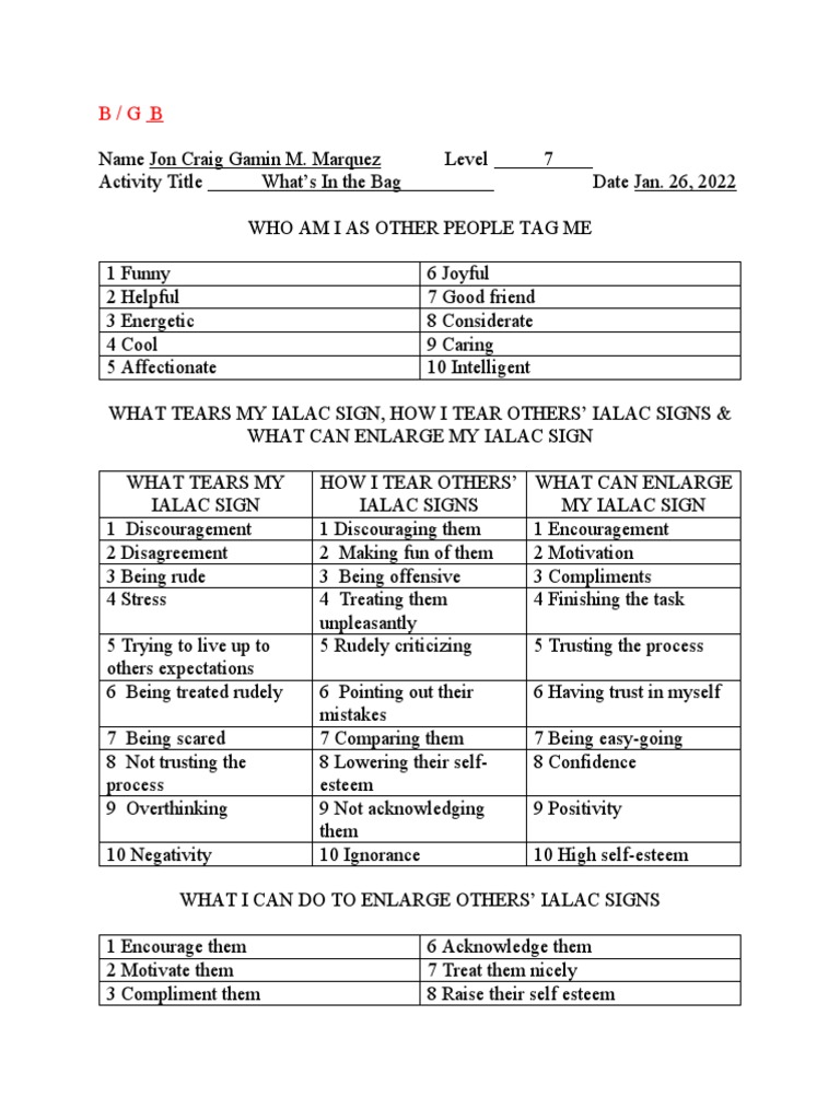 What's in The Bag PDF