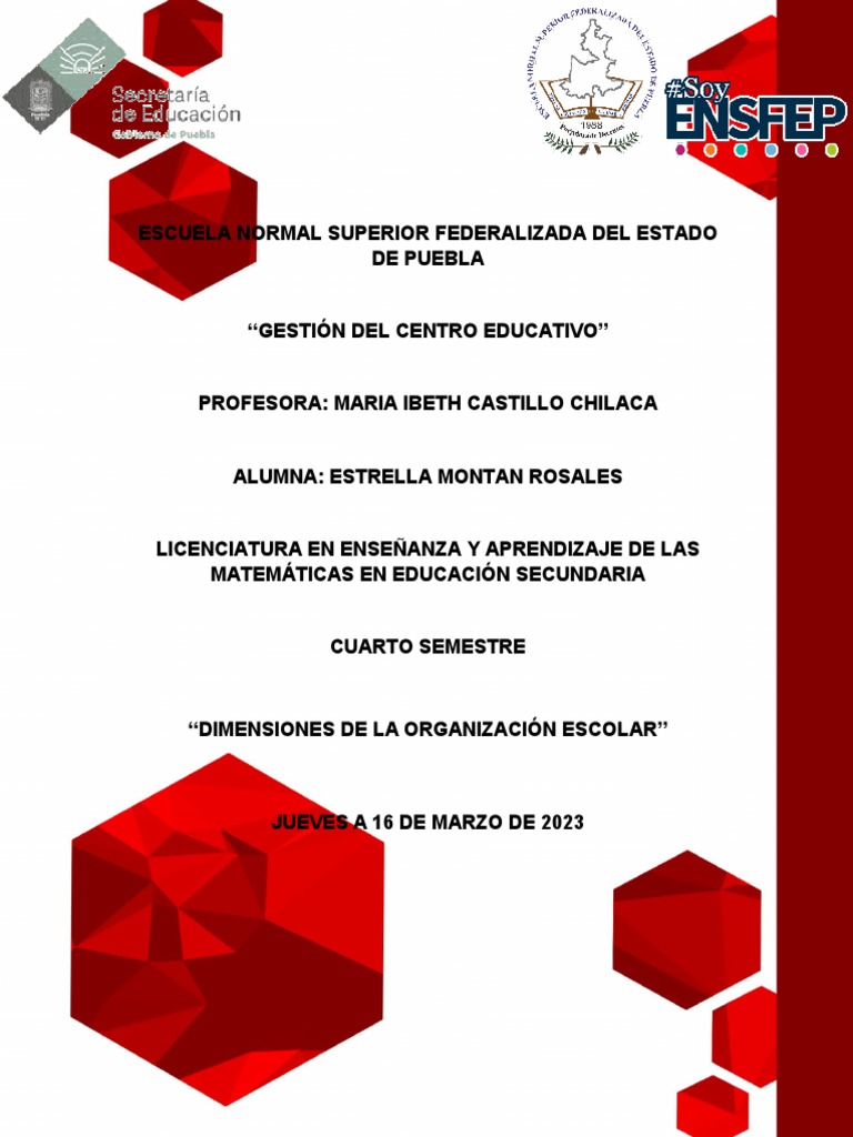 Dimensiones de la Organización Escolar | PDF | Aprendizaje | Maestros