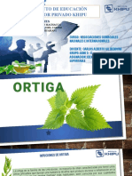Infusiones de Ortiga