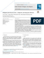 Malignant Pheochromocytoma - A Diagnostic and Therapeutic Dilemma