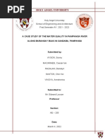 Ae 205 Case Study of Pampanga River