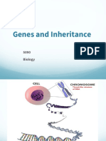 Genes and Inheritance: 5090 Biology