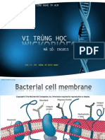 Microb 222 - Bacteria P2