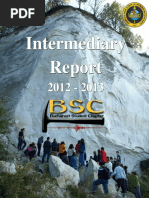 Intermediary Report BSC 2012-2013