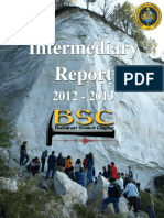 Intermediary Report BSC 2012-2013