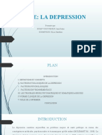 Theme: La Depression: Presentée Par: Njtap Vouit Fendju Jean Didier Koumtouzi Ella Sandrine