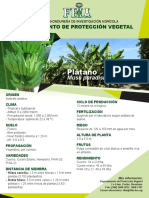 Afiche_Platano