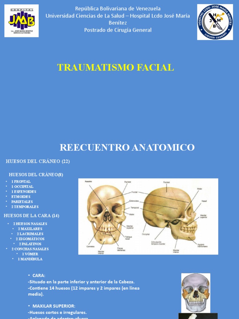 Traumatismo Facial | PDF | Anatomía | Sistema musculoesquelético