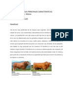 Razas Bovinas Y Sus Principales Caracteristicas de Importancia en México