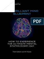 Brilliant Mind Blueprint V2
