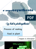 Photosynthesis