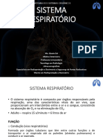 Sistema Respiratório