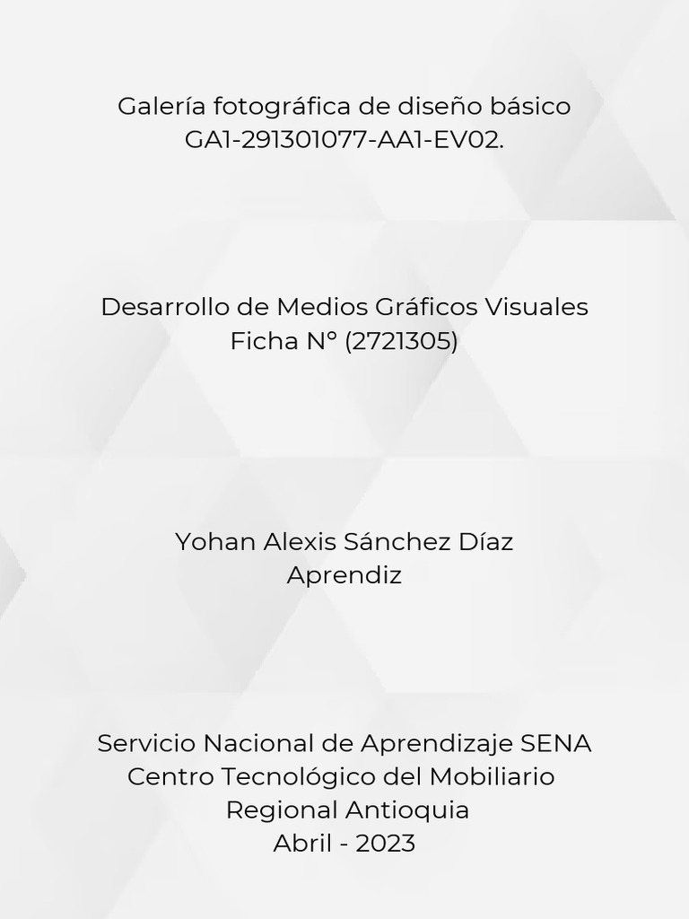 Galería Fotográfica de Diseño Básico | PDF | Arte