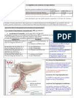 HF Cours 4 1