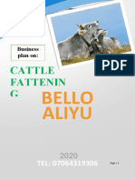 Cattle Fattenin G: Bello Aliyu