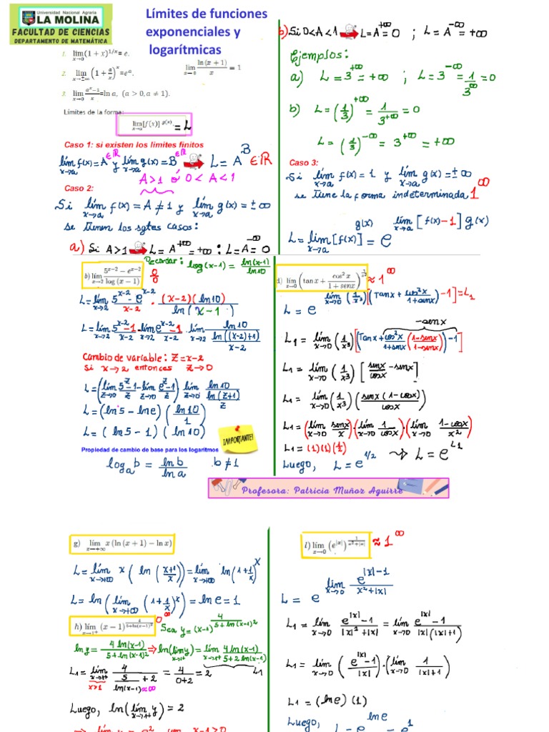 N - Limites Exponenciales y Logaritmicos | PDF