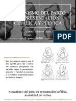 Mecanismo Del Parto en Presentación Céfalica y Pélvica
