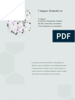 Campos Formativos