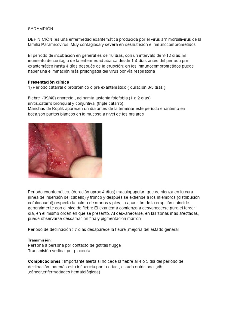 Sarampión Pdf Sarampión Especialidades Medicas