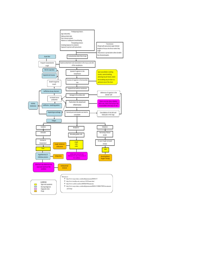Pathophysiology Of Pneumonia Journal