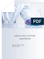 Animal Cell Culture Animal Biotech: Name-Rahul Verma Roll. No.-26