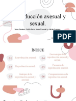 Reproducción asexual y sexual: ventajas y desventajas