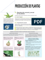 Tema 5 Bio