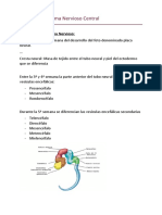 Tema 15 - Sistema Nervioso Central