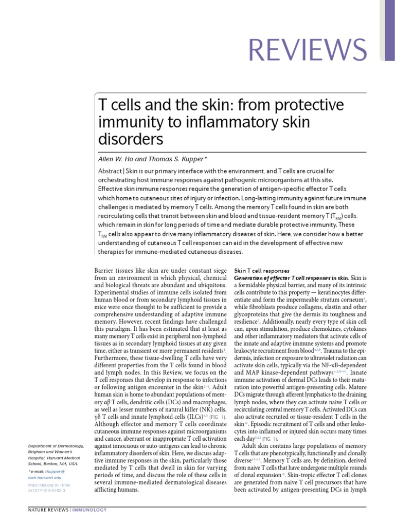 Skin T Cell Responses and Immunity | PDF | T Cell | Immune System