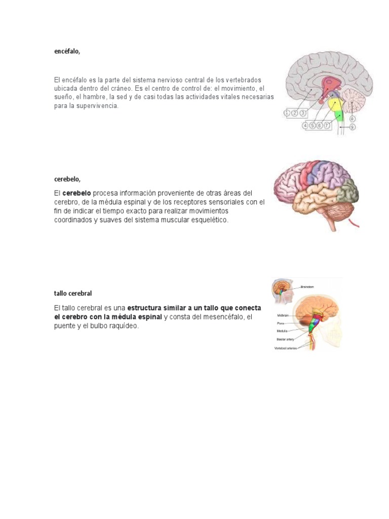 sdfsdfds-pdf