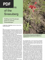 The Flora of the Sneeuberg. Part 1.