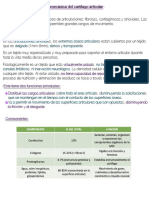 Biomecanica Cartilago Articular