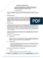 TDR Perfil Polideportivo Curimana Expediente