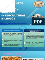 Fundamentos de La Educación Primaria Intercultural Bilingüe