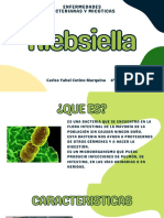 Klebsiella