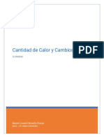 Cantidad de Calor y Cambios de Fase - NaomiLissethBriseñoPonce