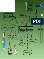 Mapa Mental Sistema Nerviso