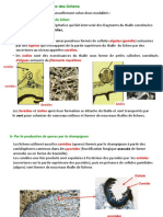 Reproduction Sexuée Des Thallophytes