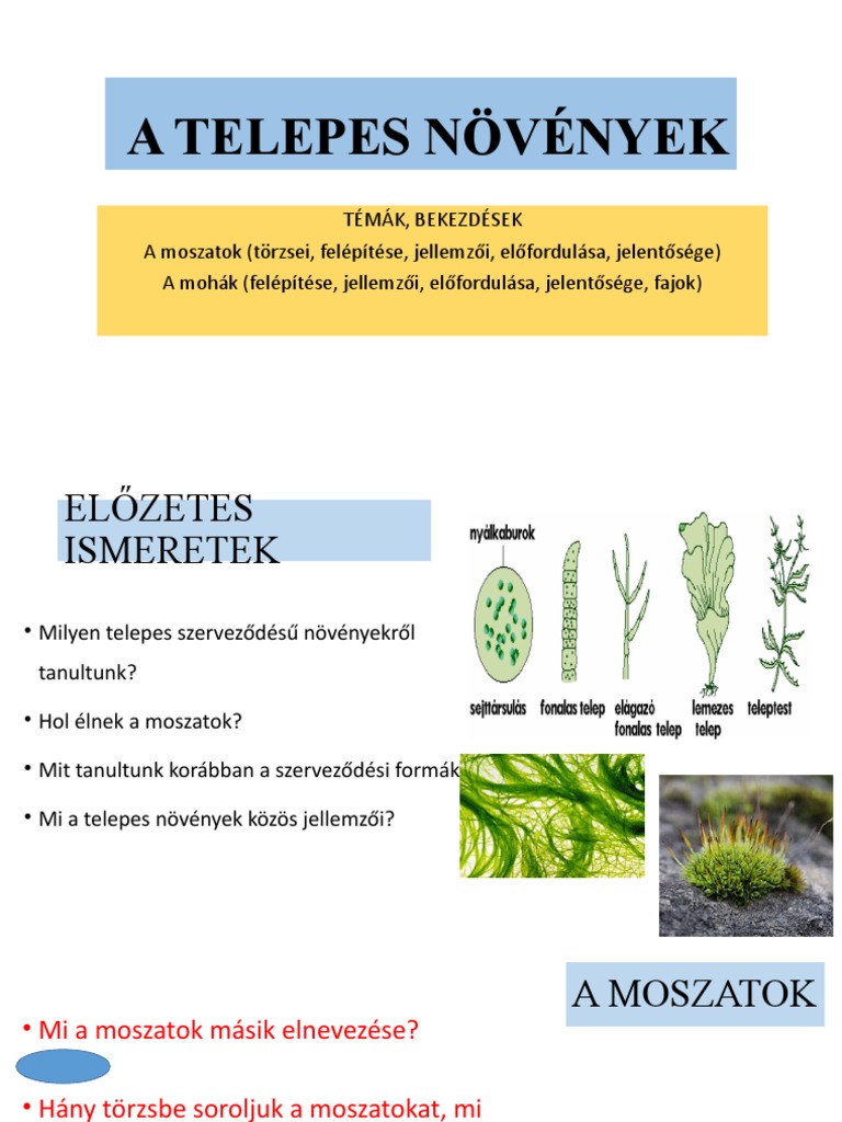 A Telepes Növények | PDF
