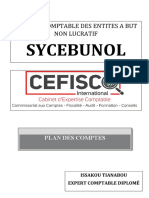 Plan Comptable Sycebunol