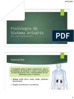 Fisiologia Do Sistema Urinário: Conceito