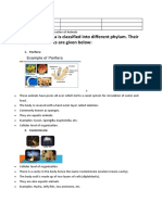 Classification of Animal Kingdom Phyla Characteristics