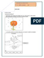 Actividades Varias Primer Ciclo