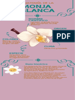 Infografía Anatomía de La MONJA BLANCA (PRIMARIA)