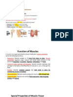 The Intrinsic Back Muscles - Attachments - Actions - TeachMeAnatomy