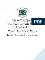 Guías Pedagógicas Educadora: Amaraly Salinas Maldonado. Curso: Nivel Medio Mayor Fecha: Semana 06 de Marzo
