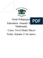 Guías Pedagógicas Educadora: Amaraly Salinas Maldonado. Curso: Nivel Medio Mayor Fecha: Semana 13 de Marzo