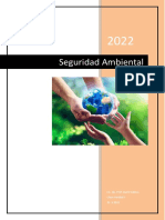 Seguridad Ambiental: Lic. Ab. Prof. Darío Salinas Clase Unidad 5 31-3-2022