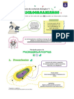 Guia de Contenido Los Microorganismos