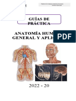 GUÍA DE PRÁCTICA SEMANA 1 Anatomia